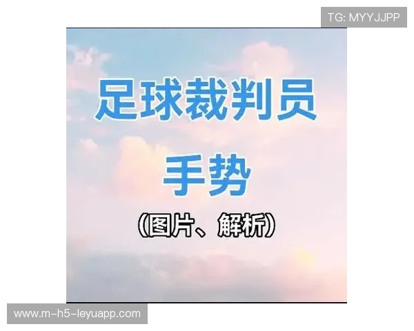 联盟发布新一轮裁判培训计划 强化技术规范，裁判员规则培训及考核