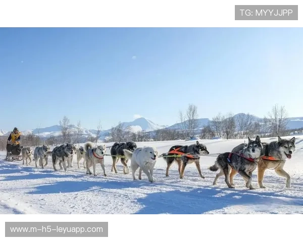 雪橇锦标：俄罗斯队稳居金牌榜，冲击新纪录！，俄罗斯雪橇犬