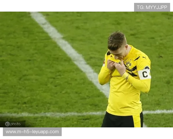 泰尔齐奇回归,带领球队迈向新征程,泰戋尔资料