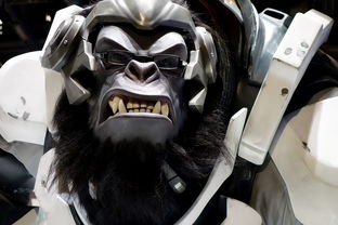 乐鱼体育(中国)官方网站-王者荣耀顶尖玩家操作演示，王者顶级玩家